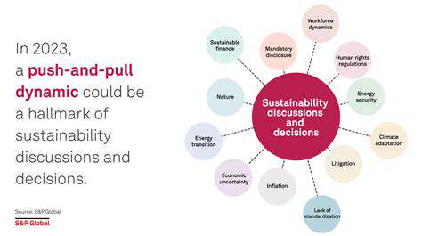 AddressingKeyChallenges:Safety,Inclusivity,andEconomicSustainability